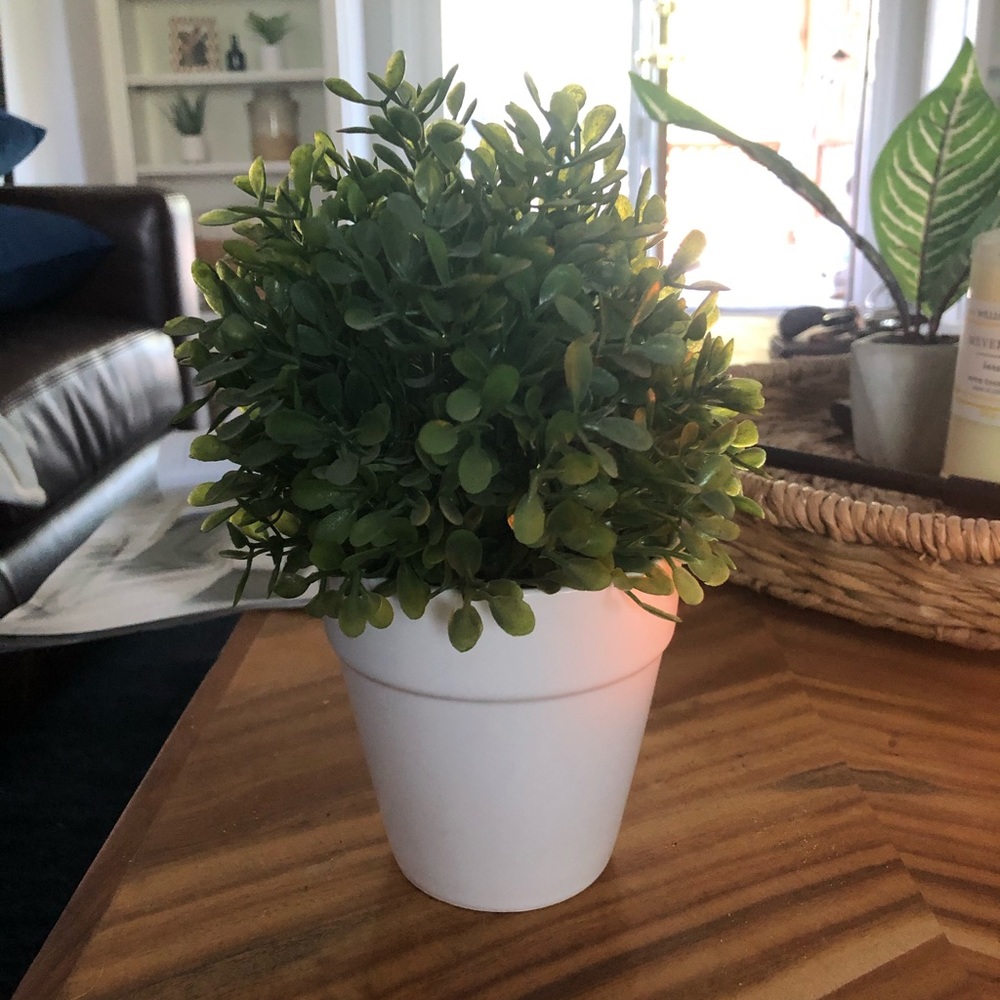 faux plant!